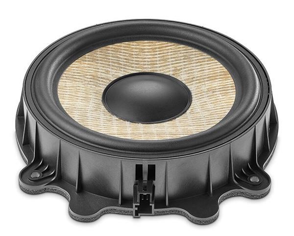 40541031_focal-iw-83y-200-woofer-tesla_num1.jpg