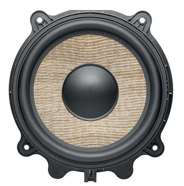 97028653_focal-iw-83y-200-woofer-tesla_num2.jpg